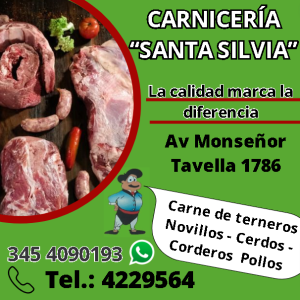 Santa-Silvia-Carniceria-300x300-1