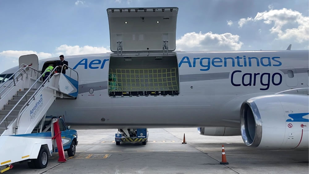 Aerolíneas Argentinas permitirá hacer compras en EE.UU desde la Argentina con entrega a domicilio