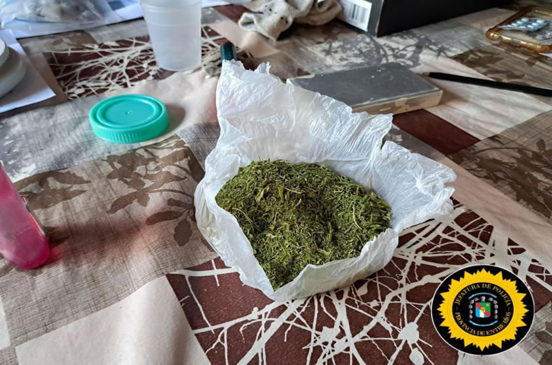 Un allanamiento derivó en dos detenidos y secuestro de marihuana