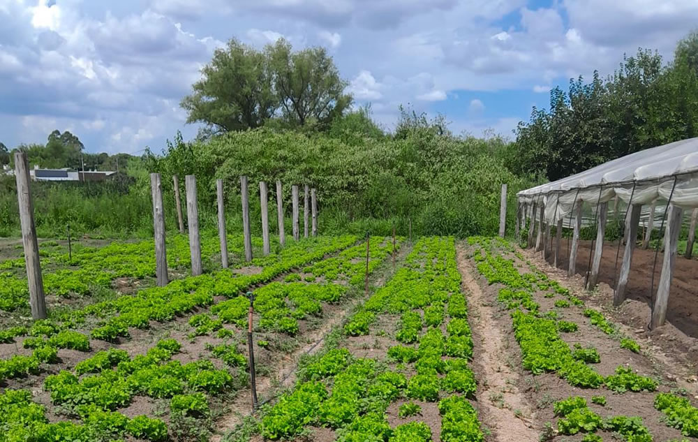 La Municipalidad de Concordia refuerza el apoyo a los productores locales