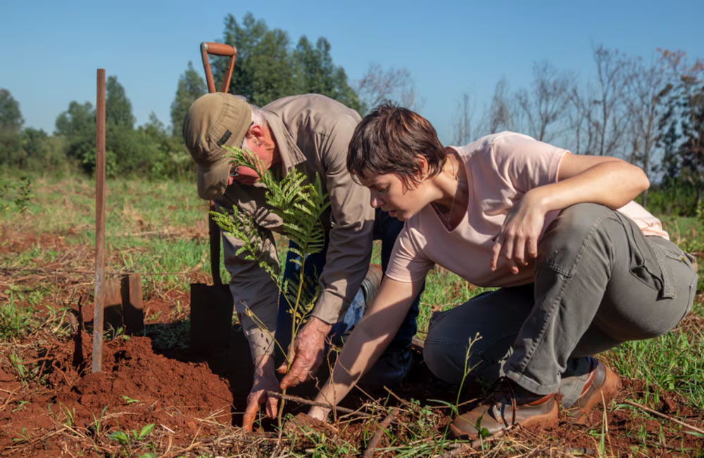 Misiones: Plantarán 36.000 árboles para recuperar 152 hectáreas de selva