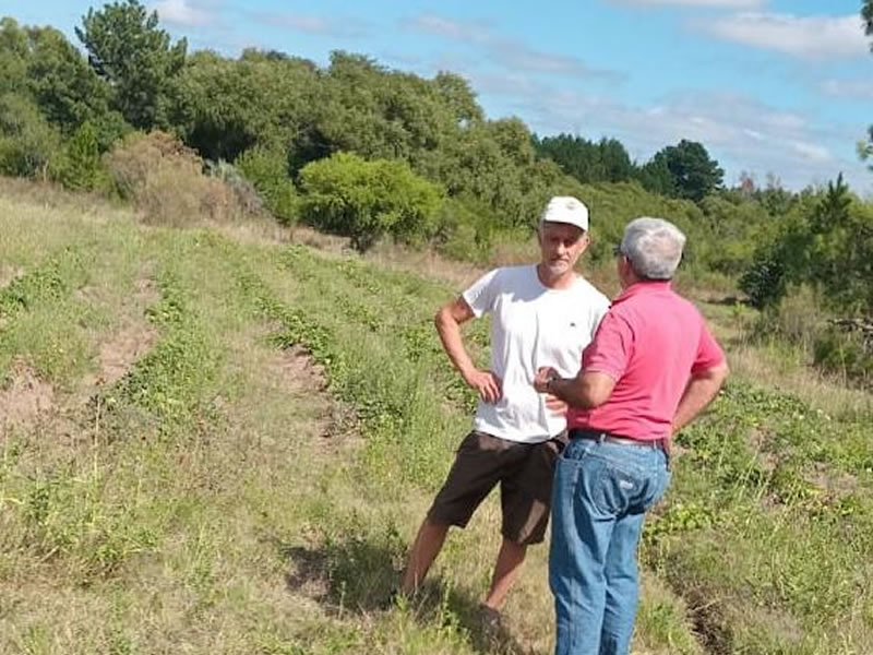 La Municipalidad de Concordia continúa acompañando a los productores locales