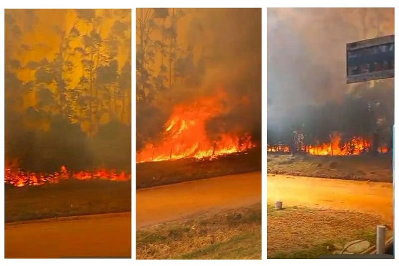 Tras varias horas se pudo controlar el incendio que mantuvo en vilo a Estancia Grande y arrasó centenares de hectáreas