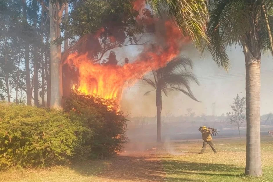 Bomberos Voluntarios: “Un 99% de las veces el fuego es iniciado a propósito”