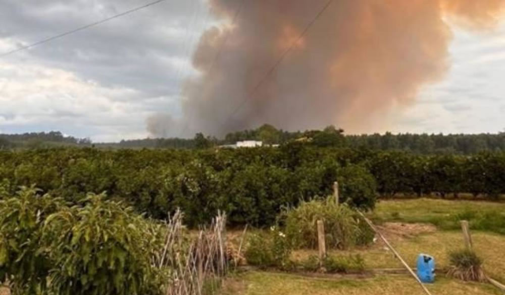 Emergencia en Federación: Los incendios causaron estragos en distintos puntos