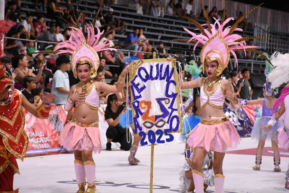 Las condiciones climáticas obligaron a suspender el Carnaval de los Pequeños Duendes