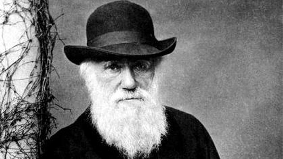 Día de Darwin