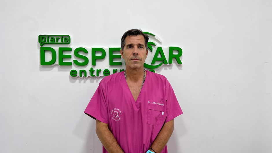 “Cuando se secuestra un caballo suelto en la vía publica no se lo devuelve, se prioriza la seguridad de los vecinos y el bienestar del animal” – Veterinaria Municipal