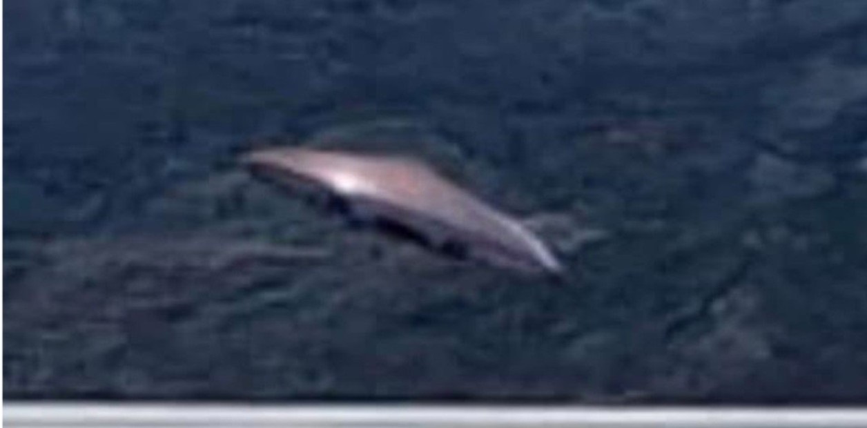 Turistas aseguraron haber visto un OVNI en Ushuaia sobre el Canal de Beagle