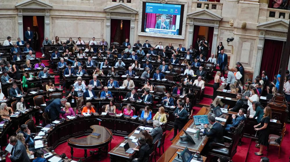 La Cámara de Diputados logró darle media sanción a la suspensión de las PASO