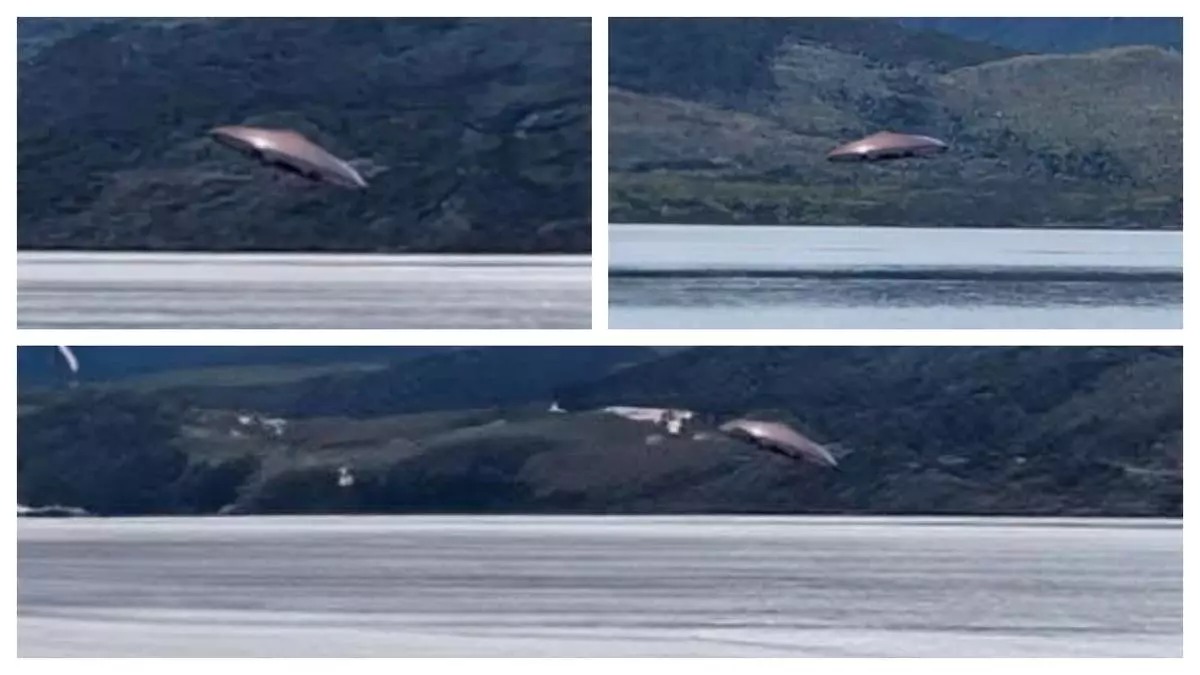 Turistas aseguran haber visto un OVNI sobre el canal Beagle y muestran imágenes