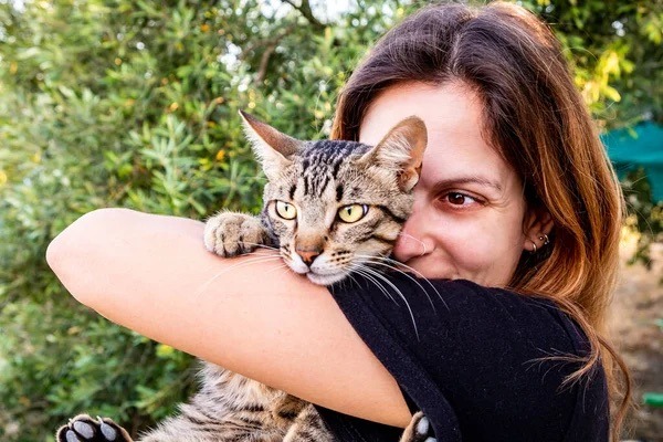 Según un estudio, los dueños de gatos son más intensos y obsesivos