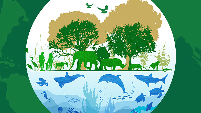 Día Mundial de la Vida Silvestre