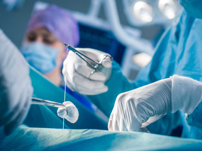 Día Internacional del Trasplante de Órganos y Tejidos