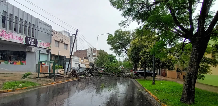 En qué provincias rigen hoy alertas por calor extremo, tormentas, lluvias o granizo