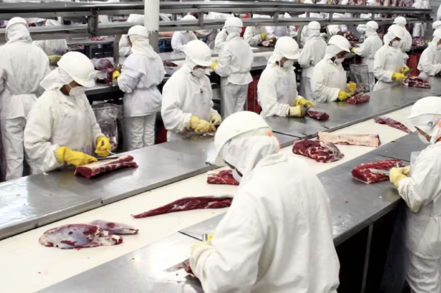 Correntinos «esclavizados» en frigorífico en Polonia: el calvario que vivieron y cómo escaparon