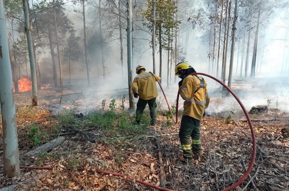 Bomberos Voluntarios subrayan la importancia de contar con un avión hidrante ante los incendios frecuentes por la cantidad de forestación