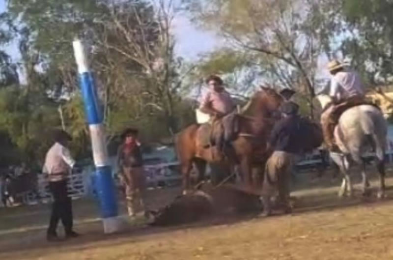 Gualeguay: El gaucho que castigó a rebencazos a un caballo acordó una pena