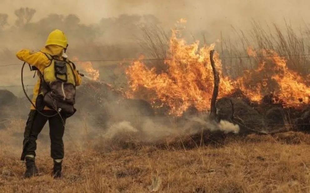 Especialistas van a Diputados para abordar la creación de unidades que investigarán delitos ambientales en Paraná y Gualeguaychú