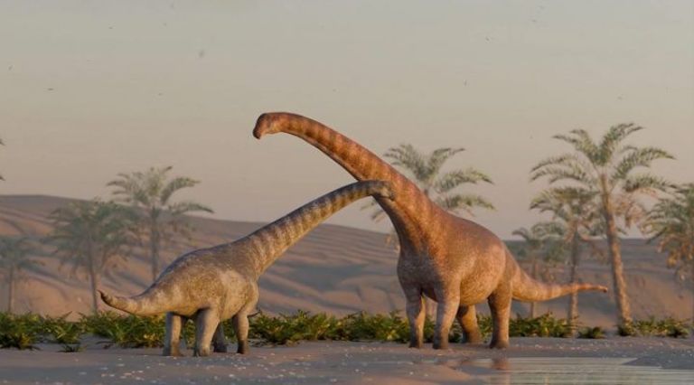 Científicos descubrieron un nuevo dinosaurio herbívoro en la Patagonia: data de 75 millones de años