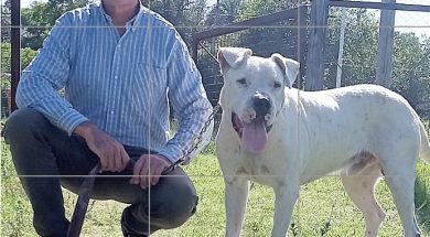 WhatsApp Image 2025-03-11 at 10.41.23