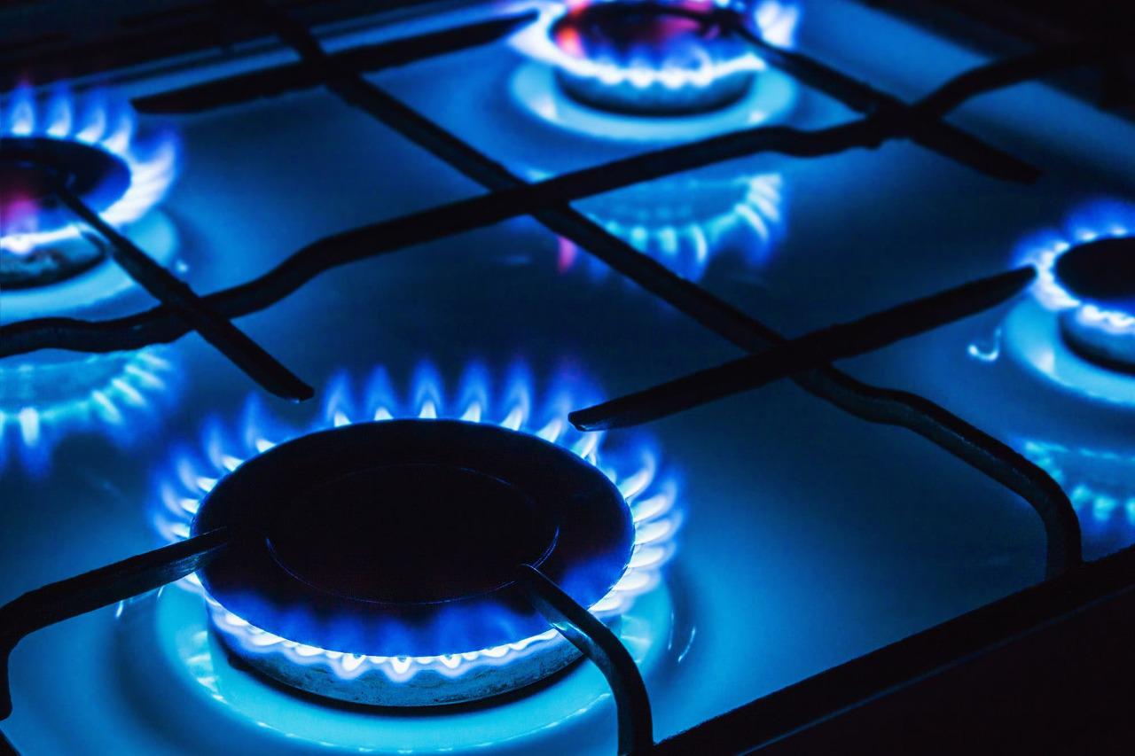 Día Nacional del Gas