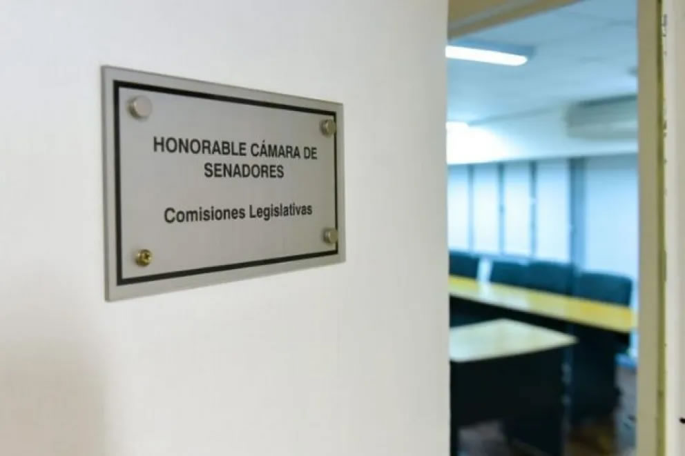 El Senado empieza a analizar el pedido de acuerdo para que Rettore acceda a la Fiscalía de Estado