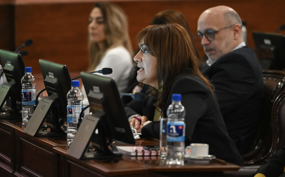 Proponen crear por ley la Mesa Provincial de Primera Infancia