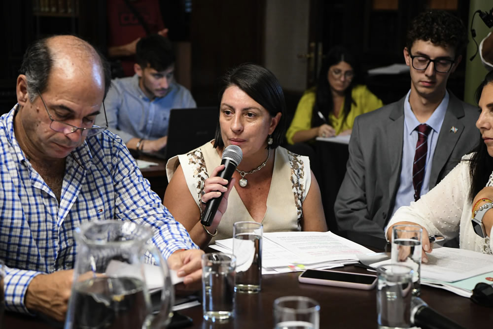 Continúa el debate del proyecto de reiterancia delictiva