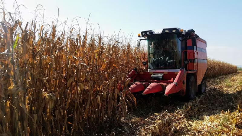 Fuerte ingreso de dólares: El campo liquidó un 34% en abril que en marzo
