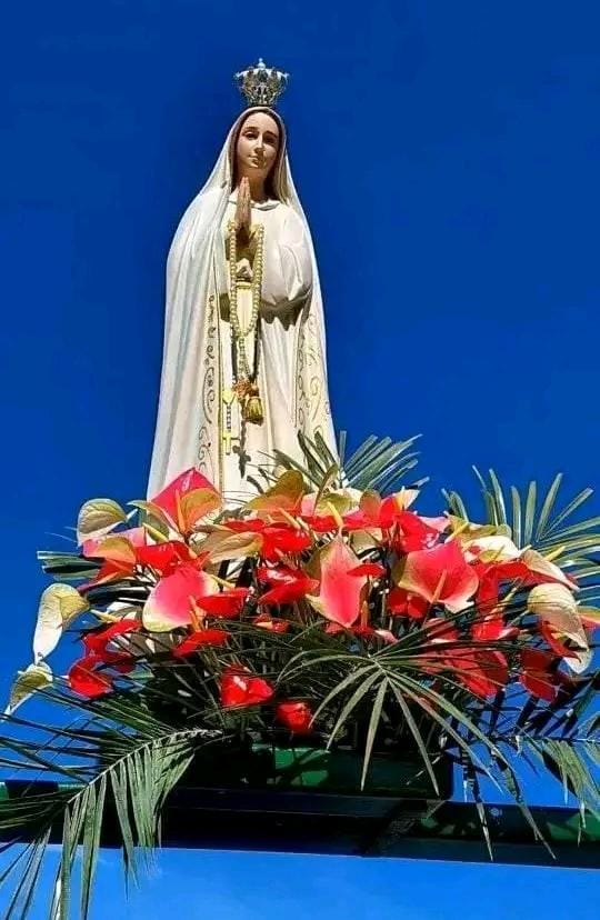 Agradecimiento: Queridos hermanos en Cristo