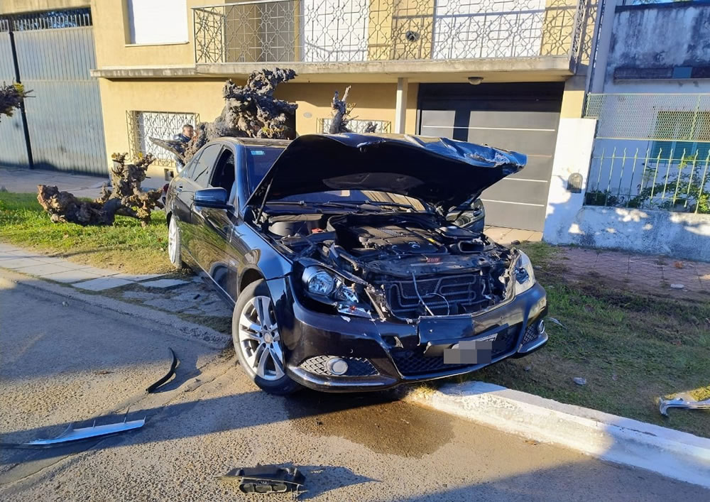 Manejaba con alcohol en sangre, chocó dos autos y terminó impactando con un árbol