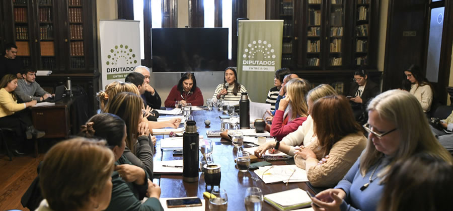 Buscan modificar el régimen de licencias por adopción de los empleados públicos