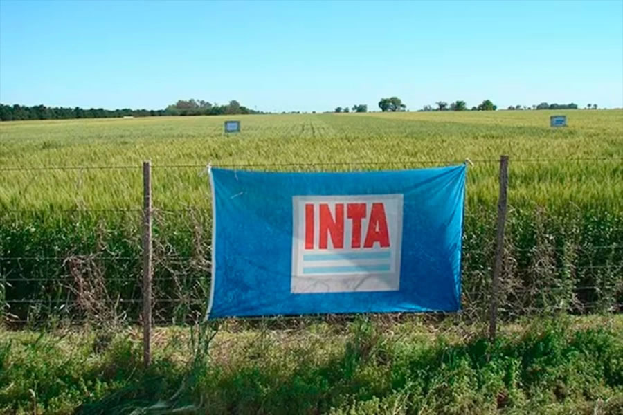 Confirmaron que en Entre Ríos no hay trabajadores en pase a disponibilidad en INTA