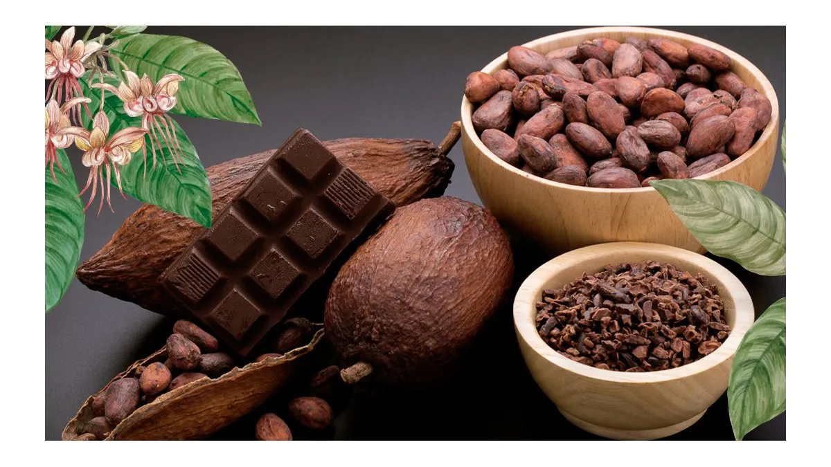 Día Mundial del Cacao