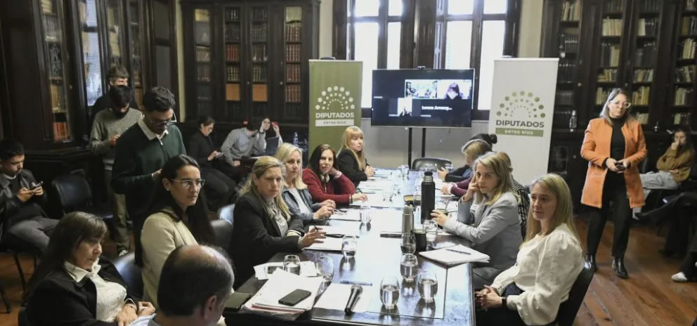 Diputados comenzó a analizar la prohibición de deudores alimentarios en espectáculos culturales y deportivos