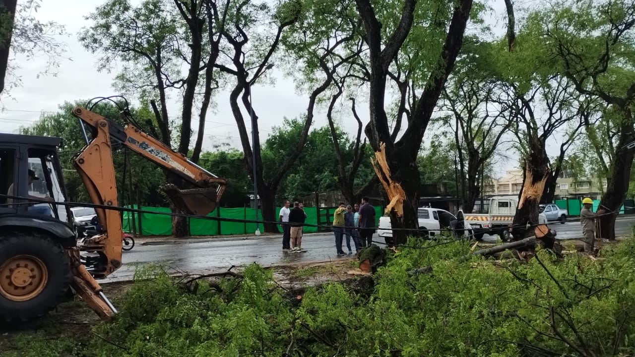 La municipalidad interviene ante la caída de arboles, ramas y postes por la tormenta y asiste a familias afectadas