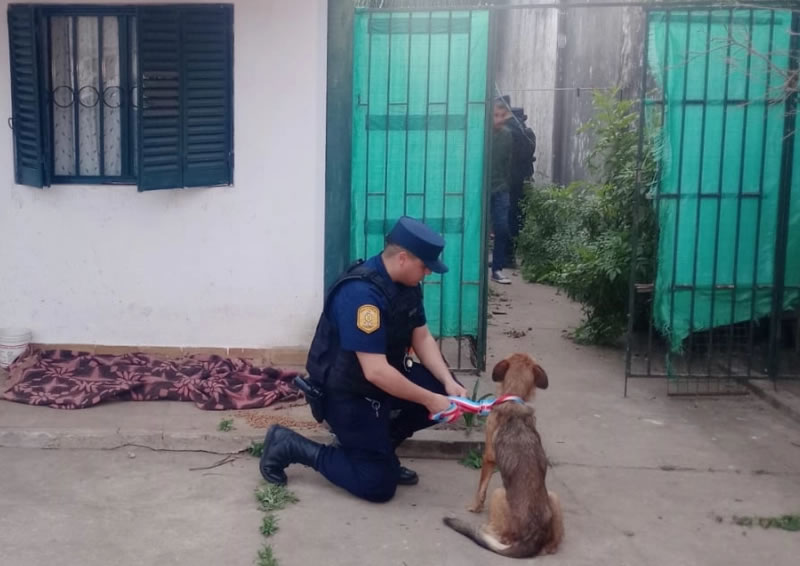 Allanamiento por una denuncia de maltrato animal