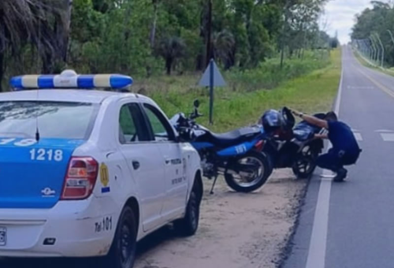 Detenido tras ser sindicado de sustraer arándanos de una quinta