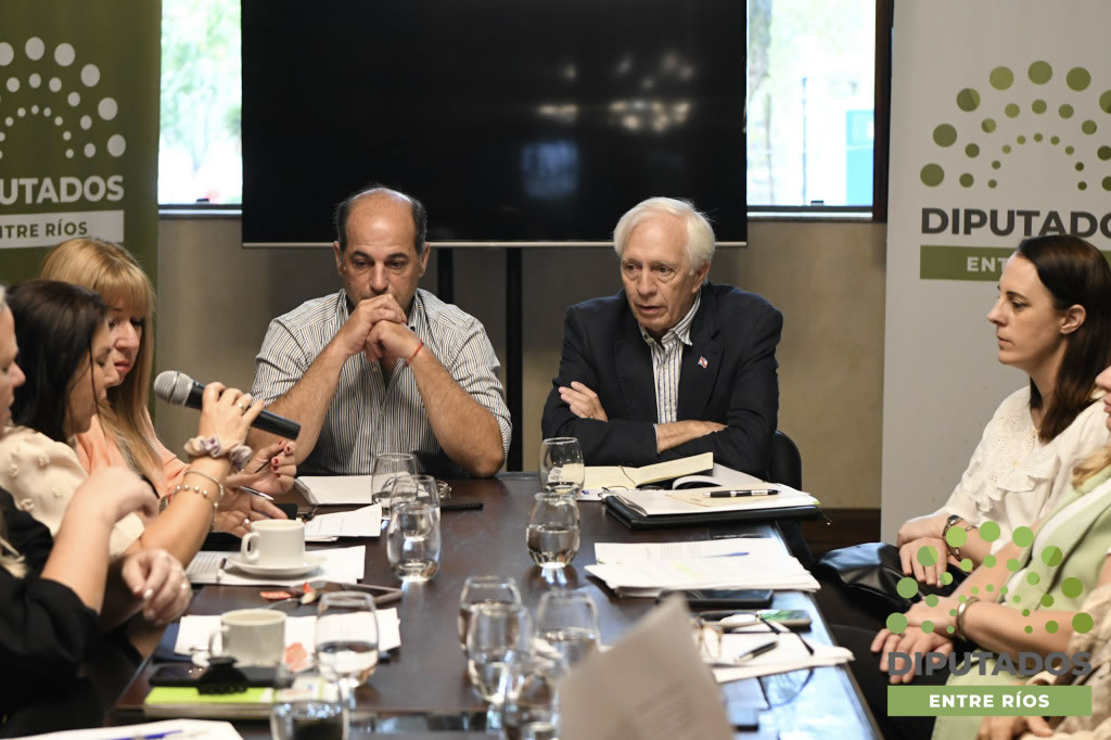 Comenzó en Diputados el debate sobre la creación de una Agencia de Desarrollo provincial