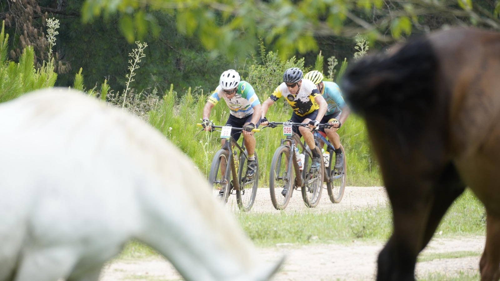 Concordia se prepara para el Desafío KM 248 con un renovado circuito rural