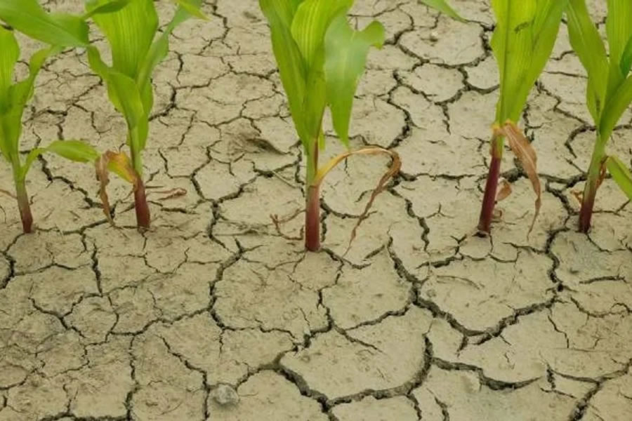 Llega La Niña a Argentina: Cuál será el impacto para los próximos meses