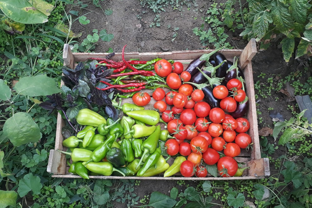 La provincia impulsa sus sistemas productivos ecológicos desde las comunas