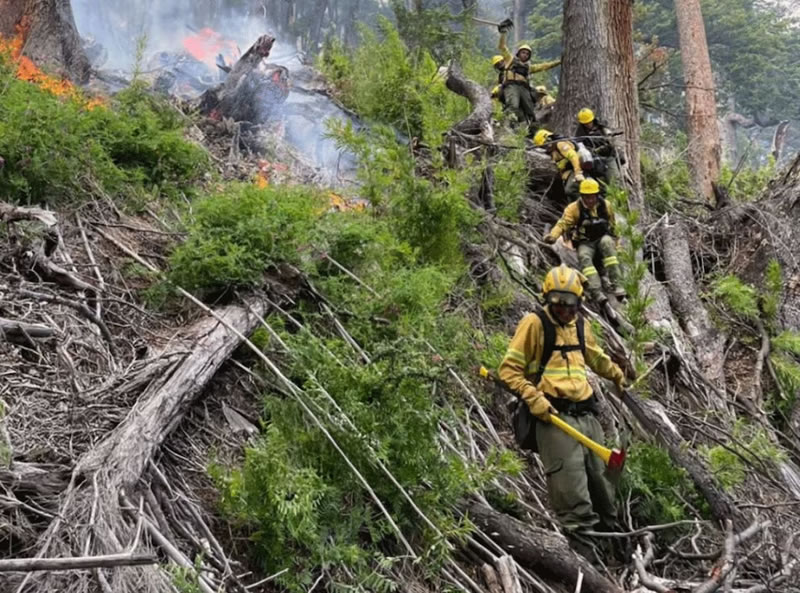 El incendio forestal en el Parque Nacional Los Alerces ya arrasó con más de 270 hectáreas de gran valor ecológico