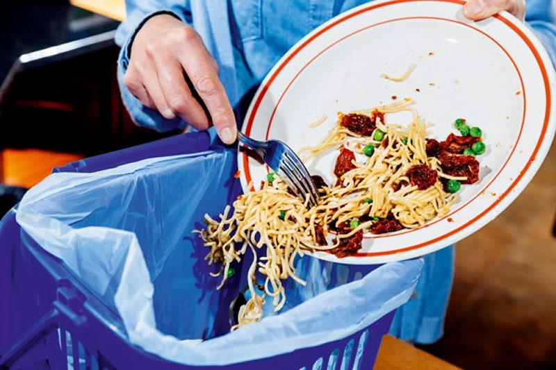 Cada familia argentina tira a la basura casi 200 kilos de comida al año