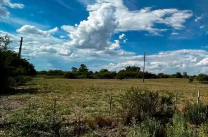 Encontraron un hombre fallecido en una zona rural: Investigan si lo picó una abeja