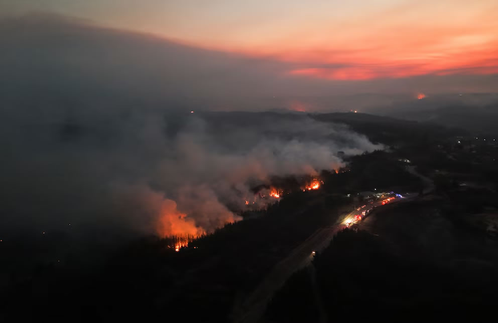 Incendios forestales en Chile: identificaron y entregaron a cuatro víctimas fatales tras la catástrofe