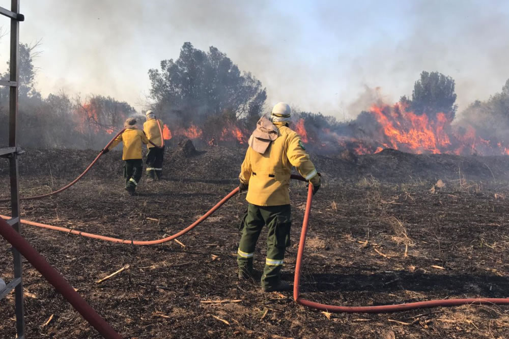 El gobierno provincial advierte sobre el riesgo extremo de incendios en Entre Ríos