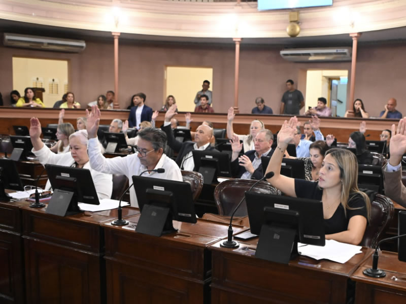 Diputados: Sesión especial y trabajo de comisiones por la Emergencia en Obras Públicas