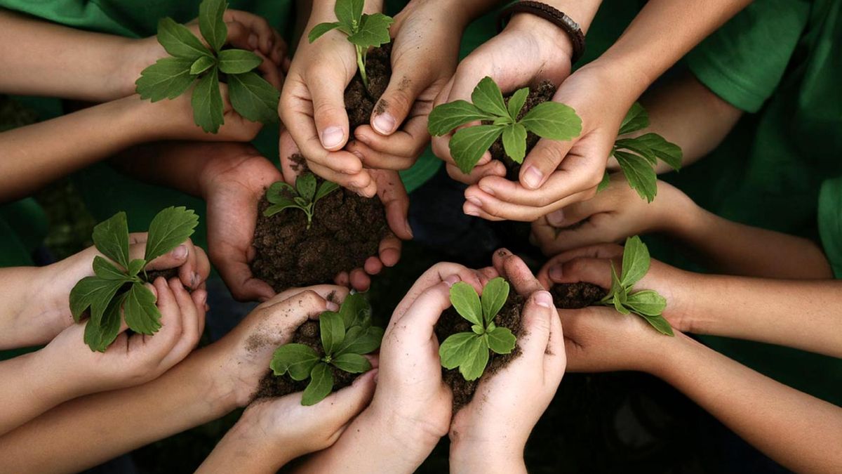 Día Mundial de la Educación Ambiental